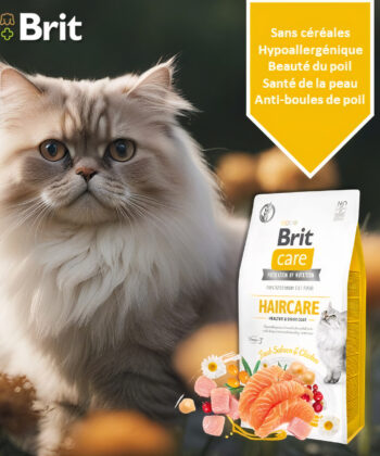 Brit Care Haircare&Shiny Coat Beauté du Poil Sans Céréales 2 Kg
