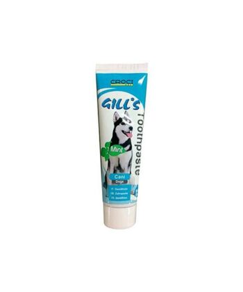 GILL'S MINT TOOTH PASTE 100Gr