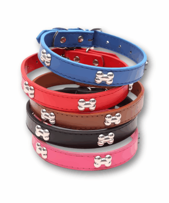 COLLIER OSS POUR CHIEN