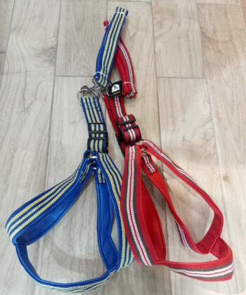 HARNAIS LARGE 35