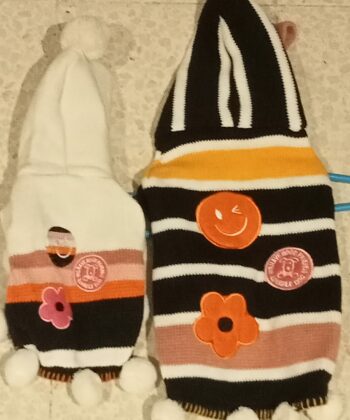 PULL AVEC CAPUCHE T1