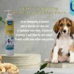 SHAMPOING LEYON 250ML