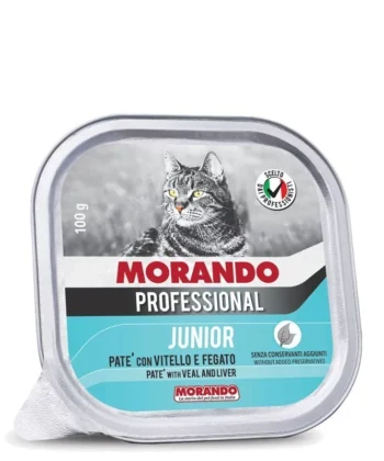 BARQUETTE MORANDO GATTO JUNIOR VITE