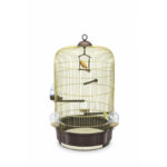CAGE MILLY OR/MARRON