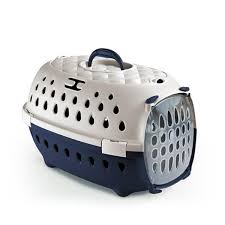 CAGE GULLIVER TRAVEL CHIC BLEU MAR/