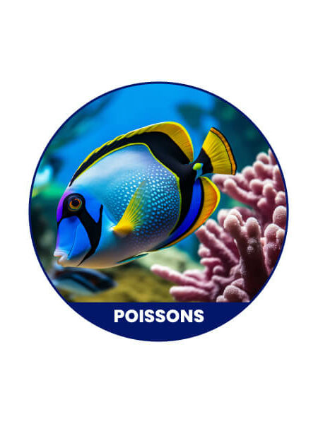 Poisson
