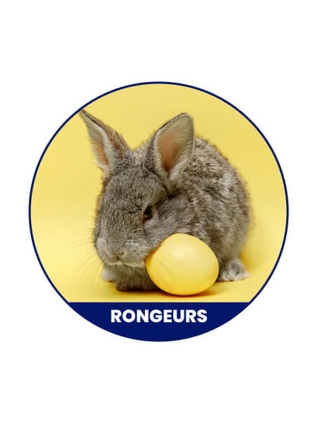 Rongeur