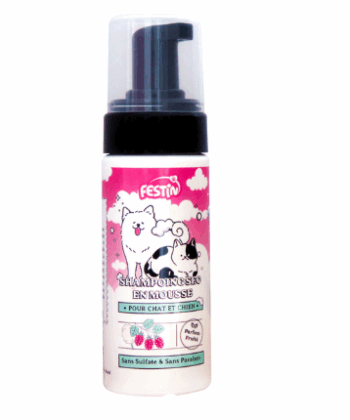 SHAMPOING FESTIN SEC MOUSSE 150ML