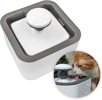 PET WATER FOUNTAIN
