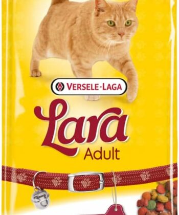 Lara Lamb 2kg