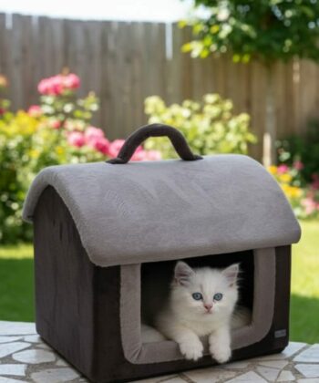 MAISON POUR CHAT GRIS