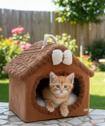 MAISON POUR CHAT MARRON