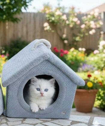 MAISON POUR CHAT BLEU