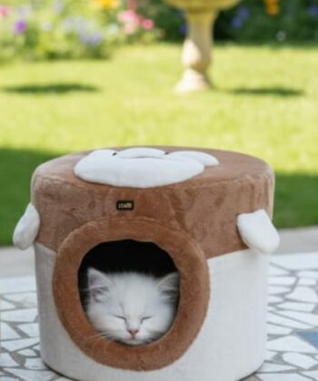 POUF POUR CHAT MARRON/BLANC