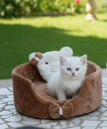 PANIER ROND POUR CHAT