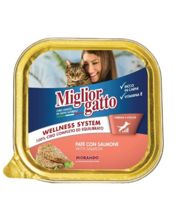 Miglior gatto Salmone 100 gr