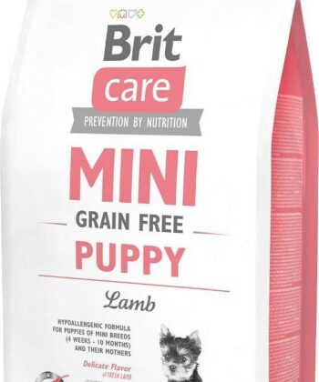 BRIT CARE MINI CHIOT AGNEAU SANS CEREALES 2Kg