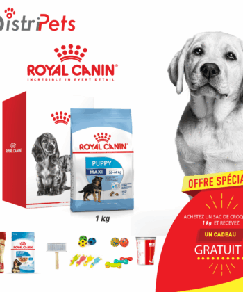 SHN RC canin maxi puppy 1kg