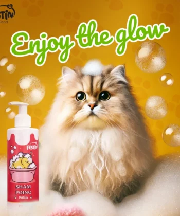 SHAMPOING FESTIN FELIN 250ML