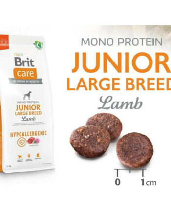 BRIT CARE HYPOALLERGENIQUE JUNIOR LARGE AGNEAU 12 kg