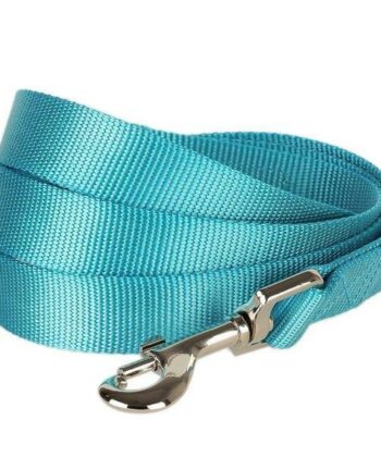 LAISSE NYLON 10 MM BLEU CLAIR