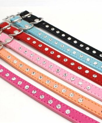COLLIER CHIOT CUIR COLORE PM