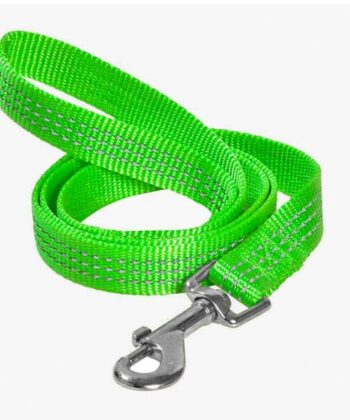 LAISSE SOFT REFL.1200 X 10 MM VERT