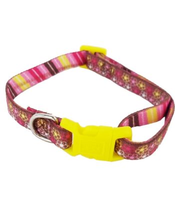 FELICAN COLLIER CHIEN PATTERNS 1CM