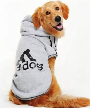 FELICAN CAPUCHE ADIDOG GRIS 3XL