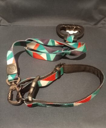 COLLIER ET LAISSE AVEC POIGNETS