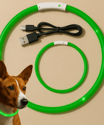 COLLIER POUR CHIEN LED