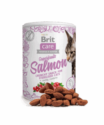 Brit Cat Snack Superfruits Saumon 100g
