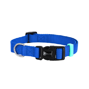 FELICAN COLLIER CHIEN BLEU 2.5CM