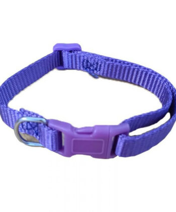 FELICAN COLLIER CHIEN UNI MAUVE/GRIS 1CM