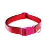 FELICAN COLLIER CHIEN UNI 1.5CM