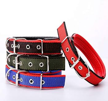 COLLIER CHIEN  GM
