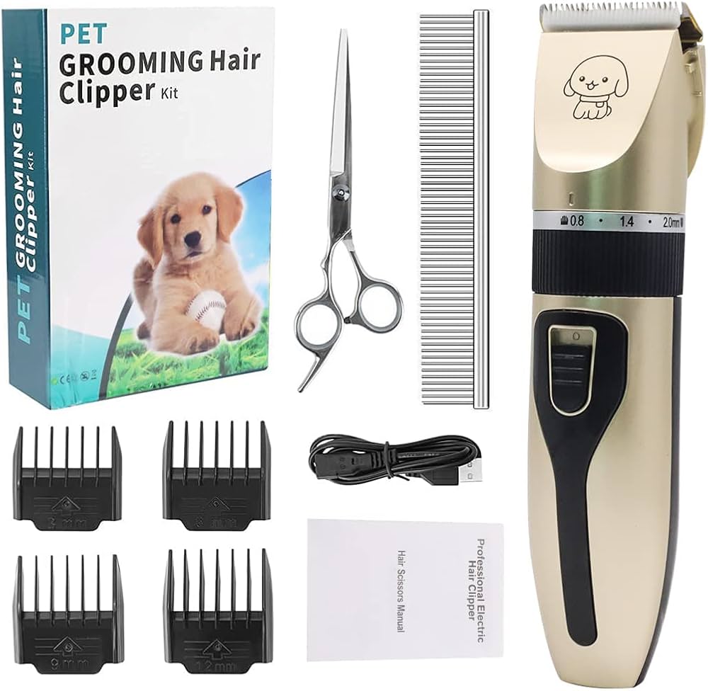 61ImqopDssL._AC_UF1000,1000_QL80_