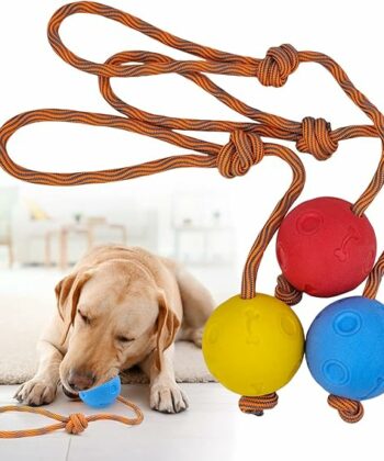 Balle de dressage BIBI pour entraînement