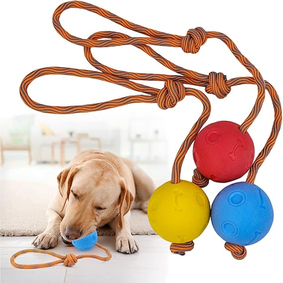 71syxYYgEJL._AC_SX569_