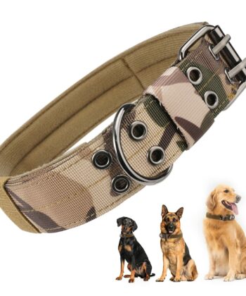 COLLIER GT VERT BEROUILLE