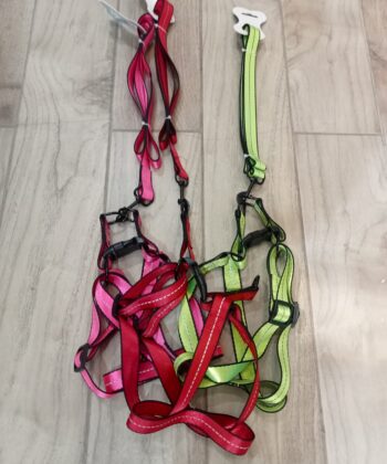 LAISSE + HARNAIS FLUO