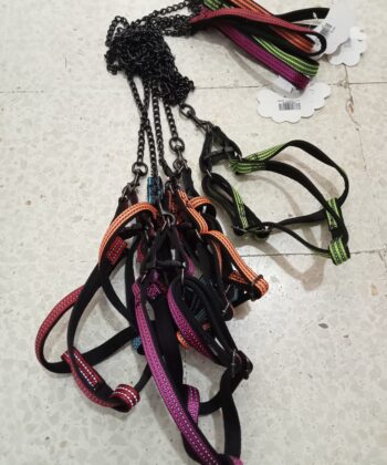 LAISSE + HARNAI CHAINE M