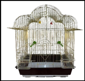 Cage oiseaux doré grand trèfle