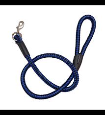 Laisse à corde antidérapante pour chien