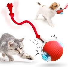 balle automatique pour chien et chat avec fil