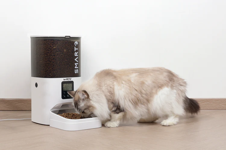 06.M-PETS_60567899_SMARTO_M800_6LAutomaticFooddispenser_Lifestyle_Indoor_Cat_HOR_CMYK
