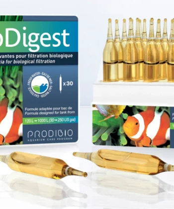 PRODIBIO BioDigest (UNE AMPOULE)