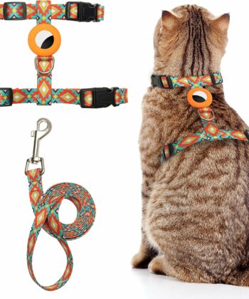 HARNAIS+LAISSE POUR CHAT YABEIBI 1CM