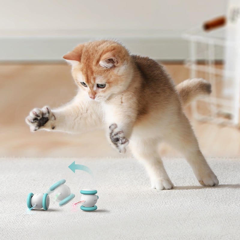 pixie-mouse-interactive-toy-659230_1024x1024@2x