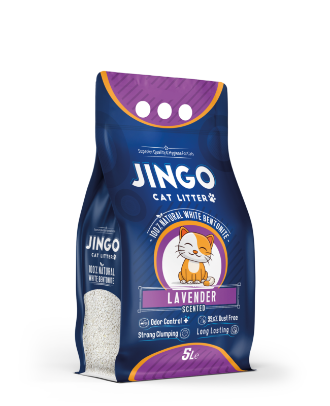 jingo-5lt-lavender-650x800